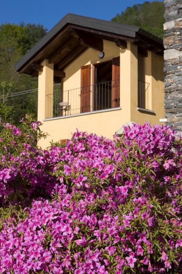 Violina Casa Vacanze Петенаско Екстериор снимка